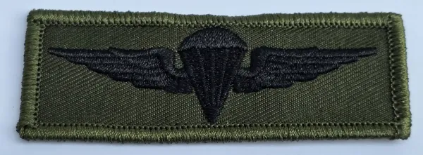 Jump Wings jordan Staticline