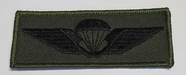 airborne wings denmark