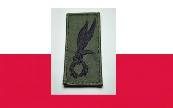 fallschirmspringerabzeichen polen