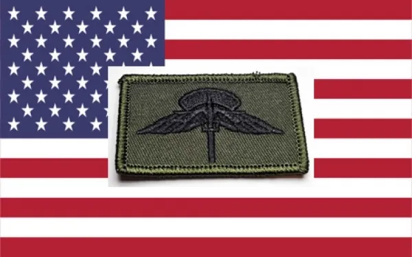 springerabzeichen us army freefall basic